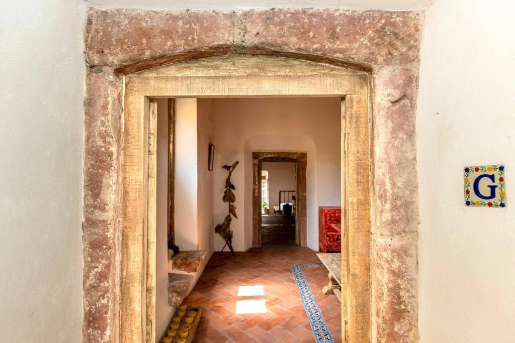 Amapola Loft Apartment San Miguel de Allende Exterior photo